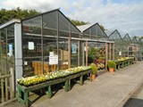 Sandy Lane Plant Nusery Melling