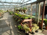 Sandy Lane Plant Nusery Melling