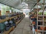 Sandy Lane Plant Nusery Melling