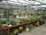 Sandy Lane Plant Nusery Melling