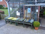 Sandy Lane Plant Nusery Melling