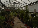 Sandy Lane Plant Nusery Melling