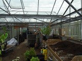 Sandy Lane Plant Nusery Melling