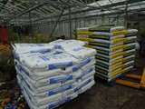 Sandy Lane Plant Nusery Melling