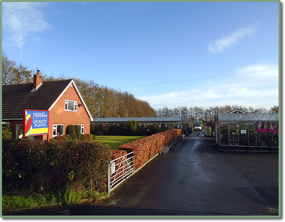 Sandy Lane Nurseries